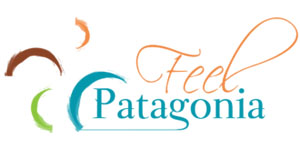 Feel patagonia